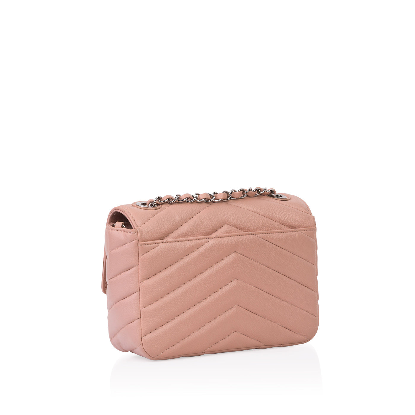 Chanel Classic Flap Leather Silver Shoulder Bag Style 3