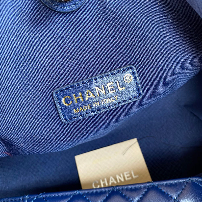 Chanel Luxury Handbag Style 584