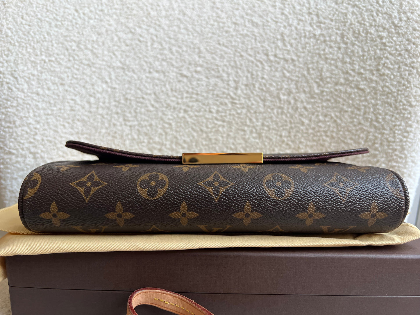 Louis Vuitton Favorite MM Monogram