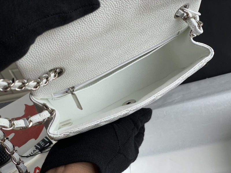 Chanel Luxury Handbag Style 273