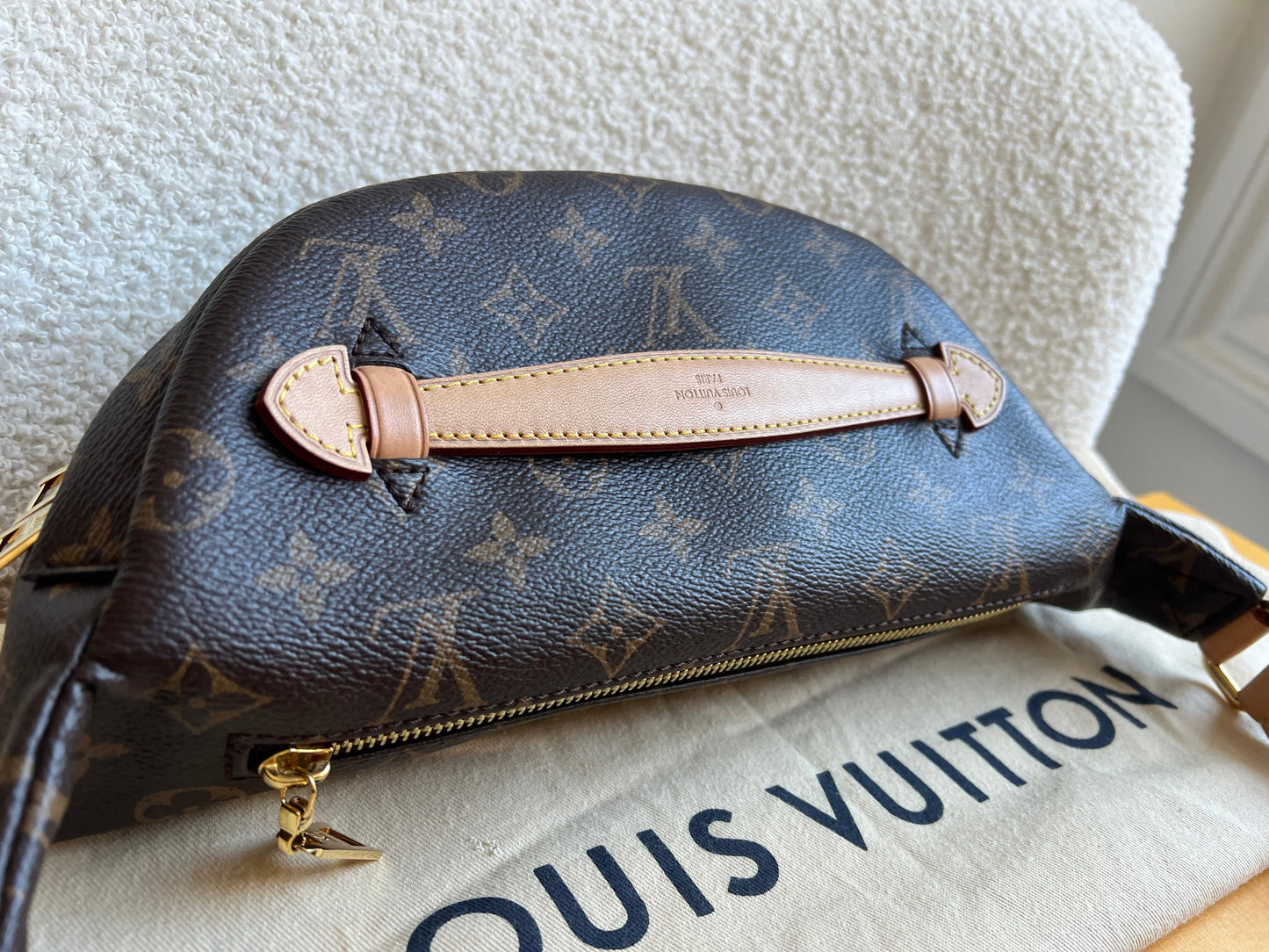 Louis Vuitton Bumbag in Monogram Canvas