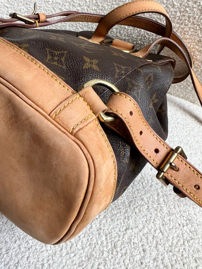 Louis Vuitton Montsouris PM Backpack Monogram