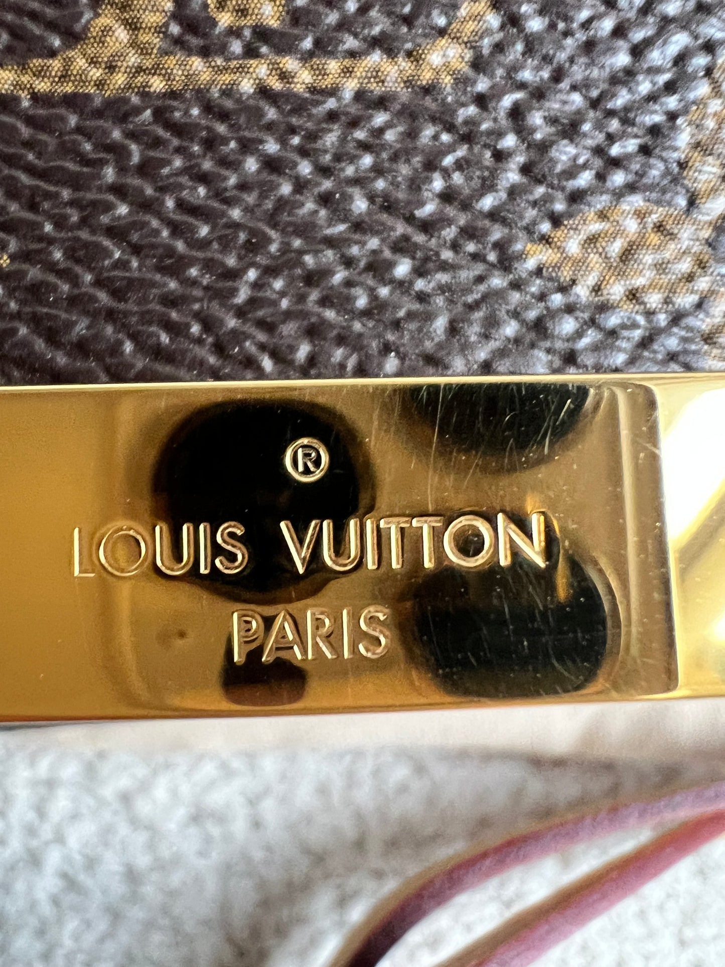 Louis Vuitton Favorite MM Monogram