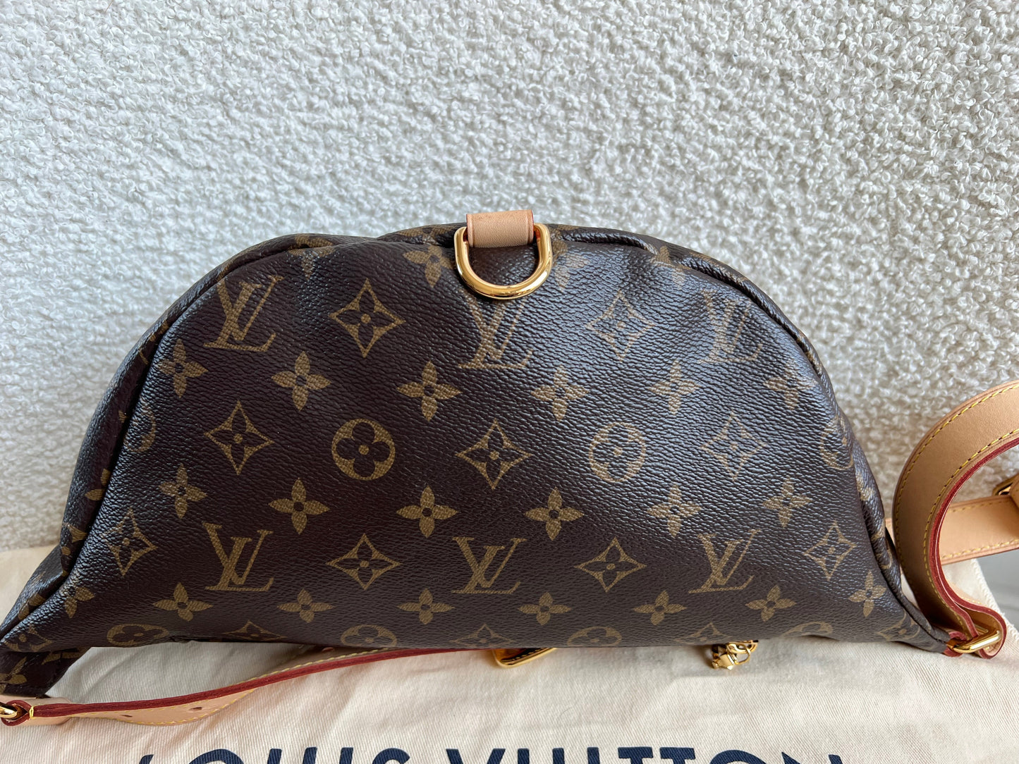 Louis Vuitton Bumbag in Monogram Canvas