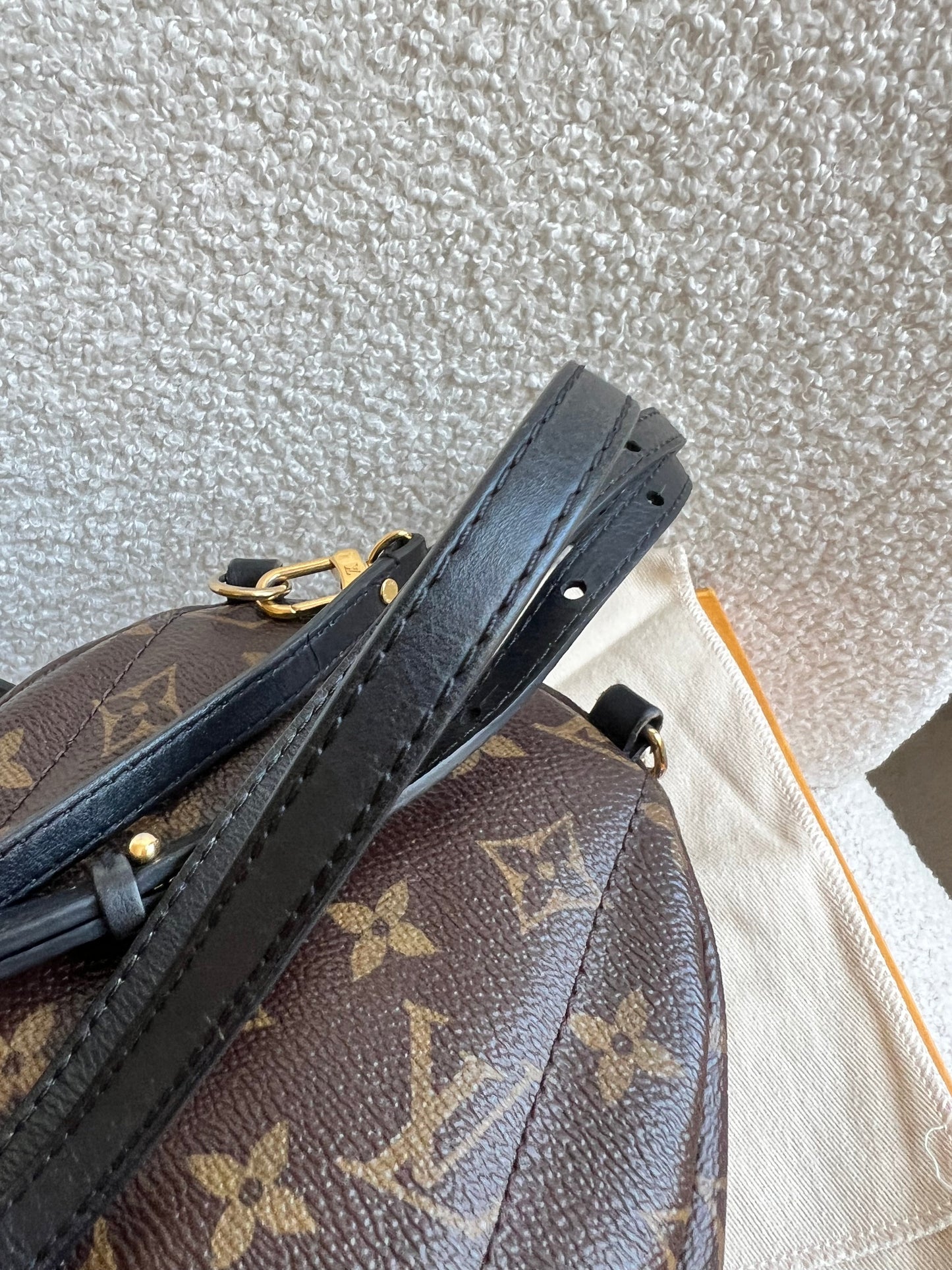 Louis Vuitton Palm Springs Mini Backpack (RRP £1,860)