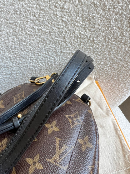 Louis Vuitton Palm Springs Mini Backpack (RRP £1,860)