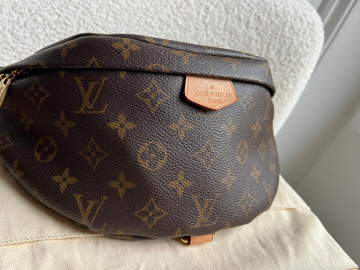Louis Vuitton Bumbag in Monogram Canvas