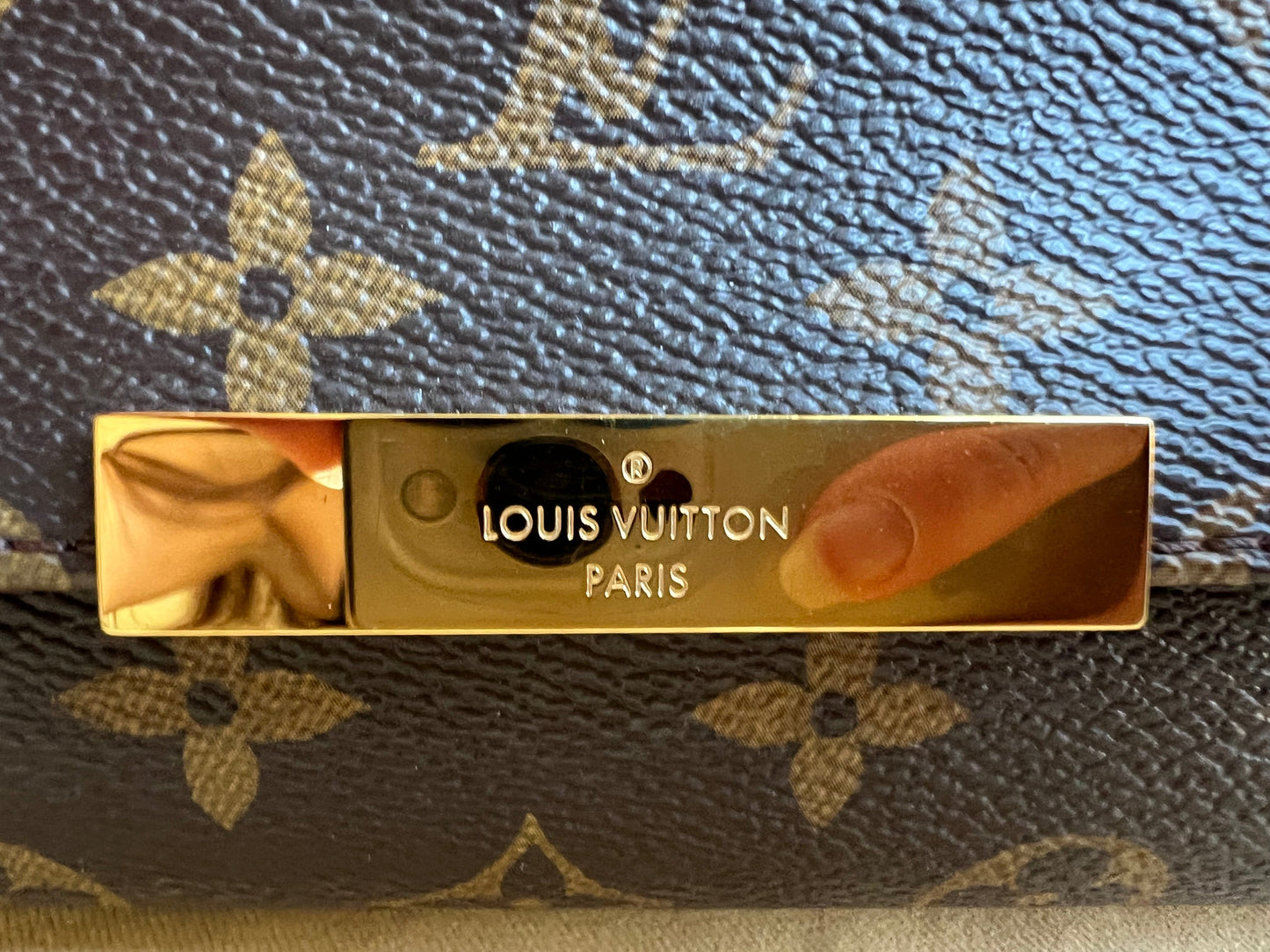 Louis Vuitton Favorite MM Monogram