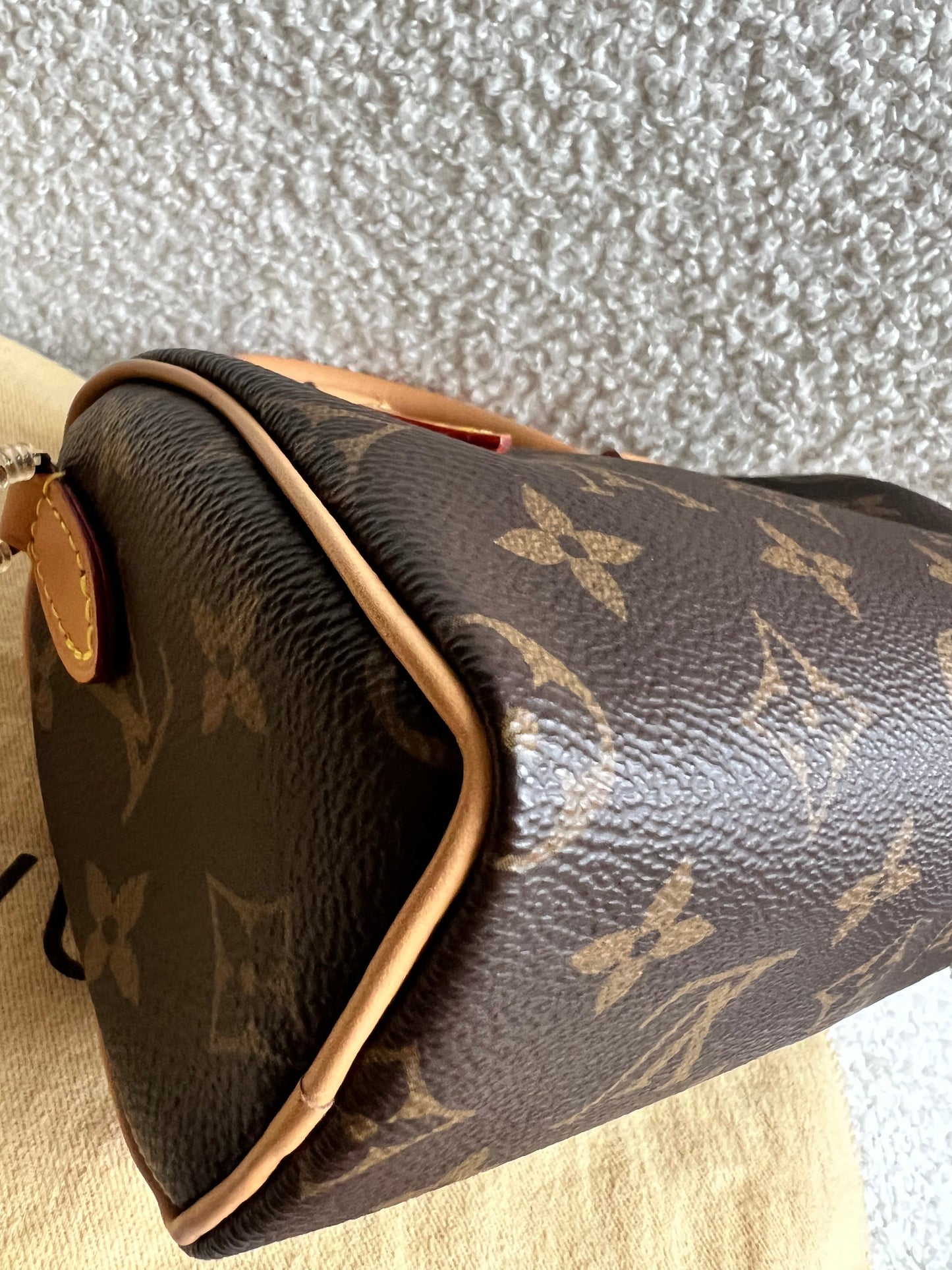 Louis Vuitton Speedy Nano Monogram (RRP £1360)