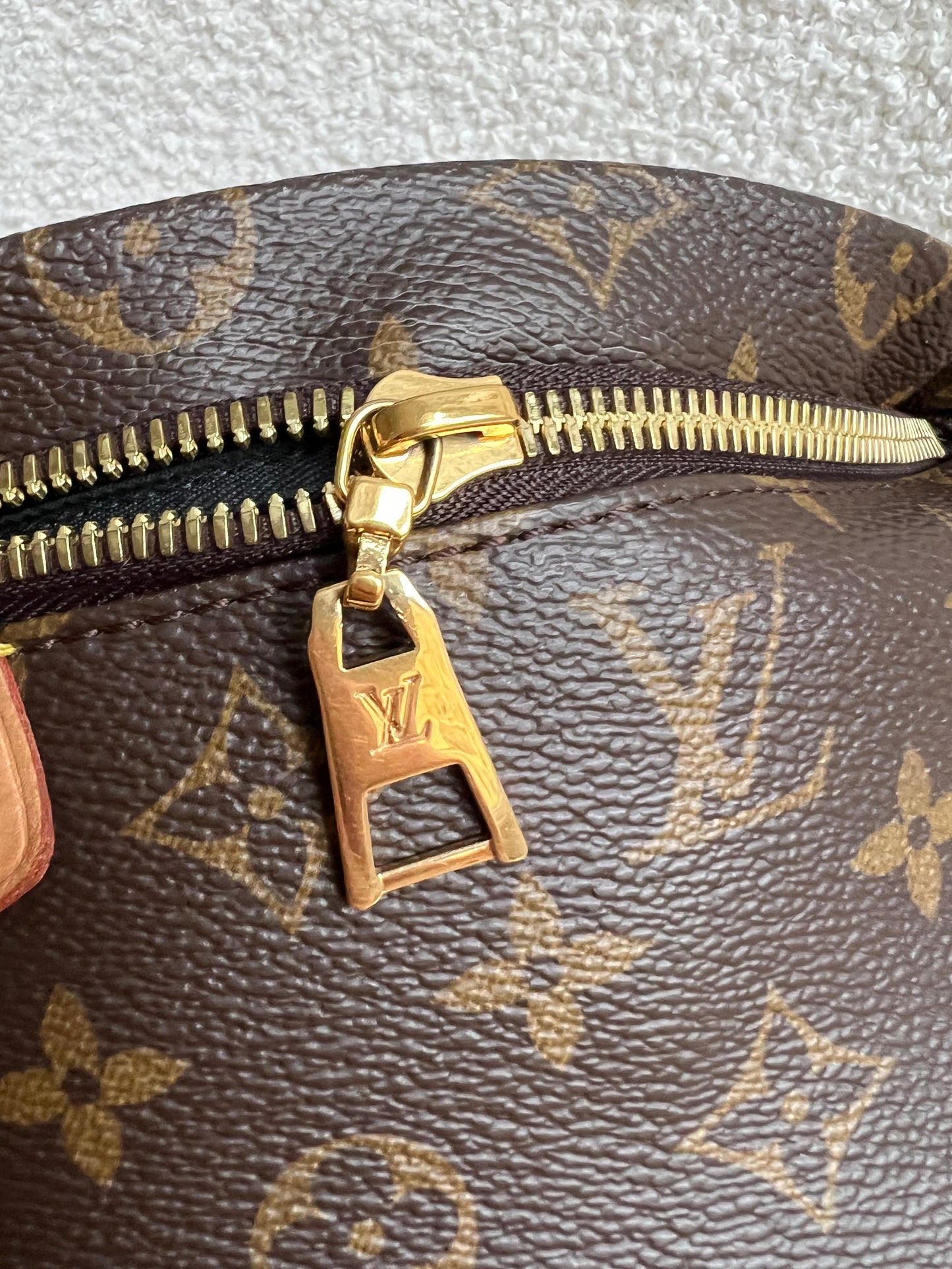 Louis Vuitton Bumbag in Monogram Canvas
