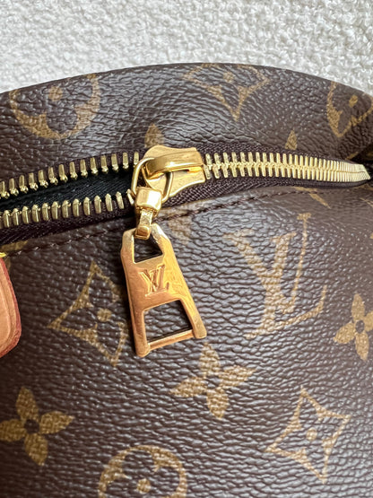 Louis Vuitton Bumbag in Monogram Canvas