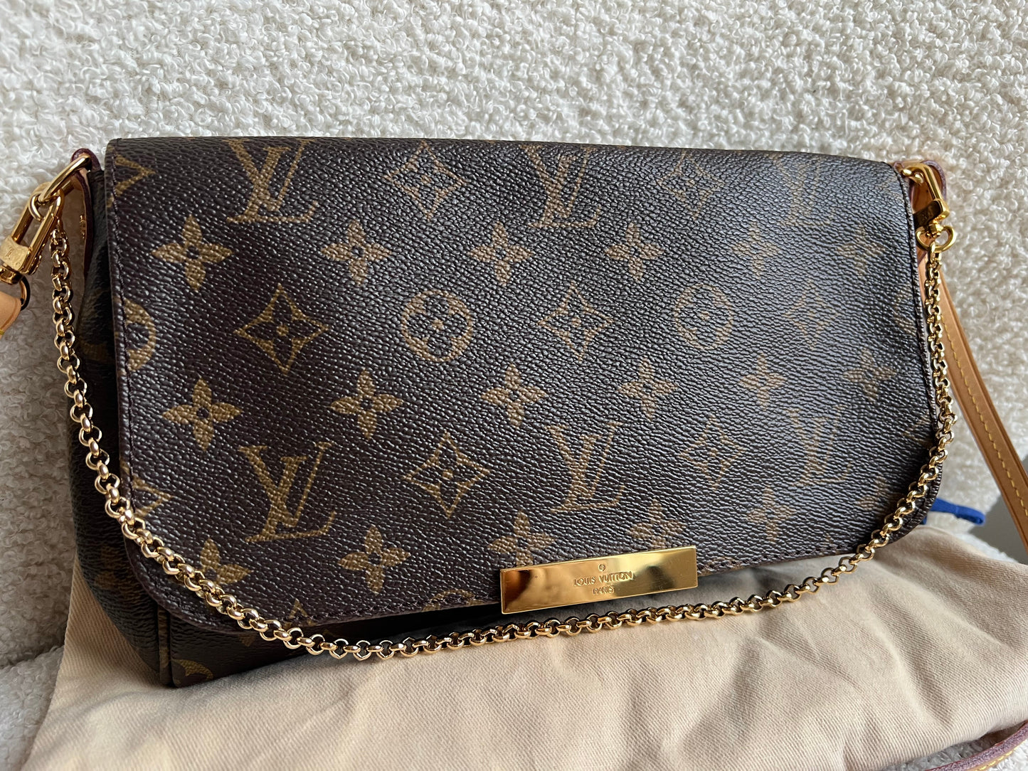 Louis Vuitton Favorite MM Monogram