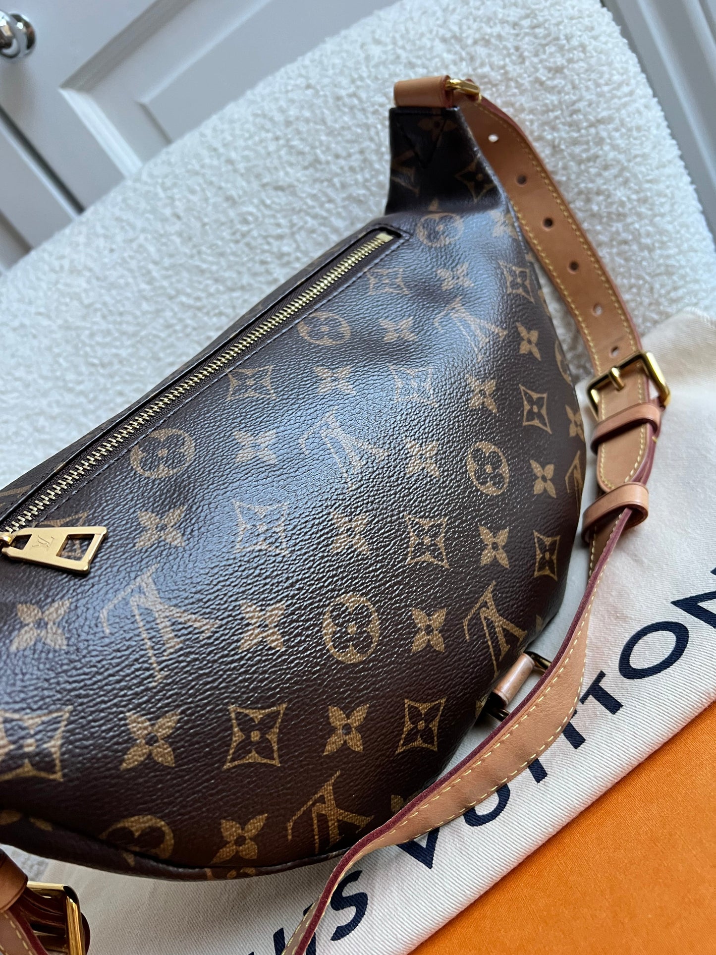 Louis Vuitton Bumbag in Monogram Canvas