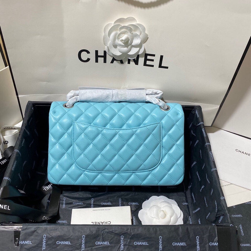 Chanel Luxury Handbag Style 195