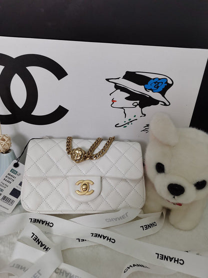 Chanel Luxury Handbag Style 111
