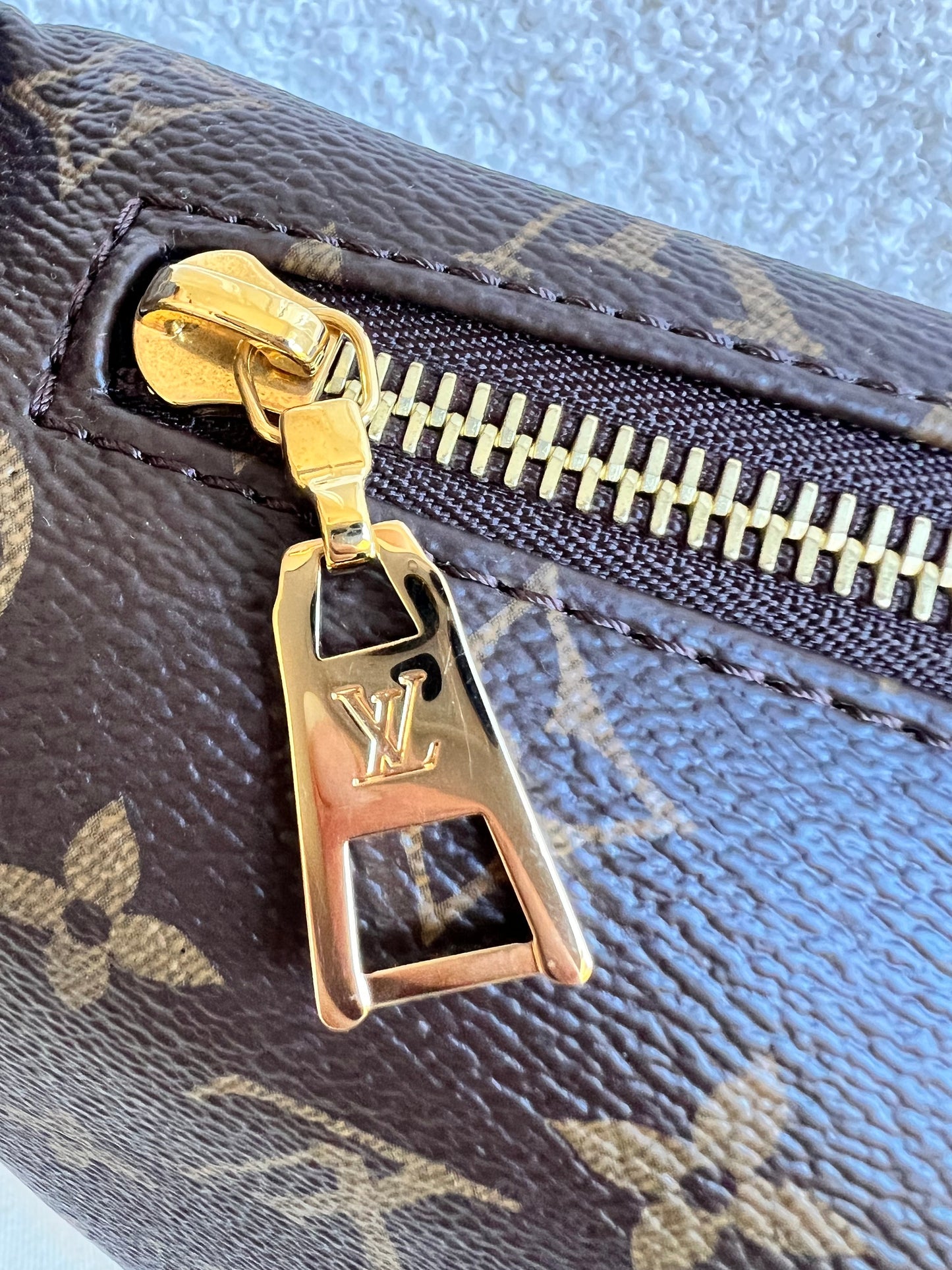 Louis Vuitton Bumbag in Monogram Canvas