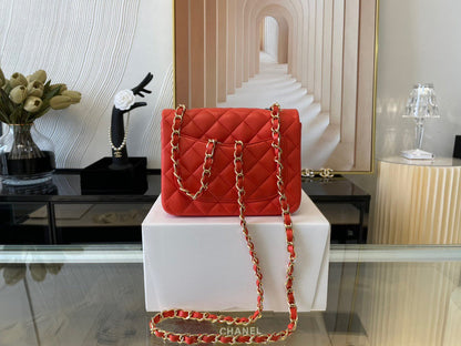 Chanel Luxury Handbag Style 447