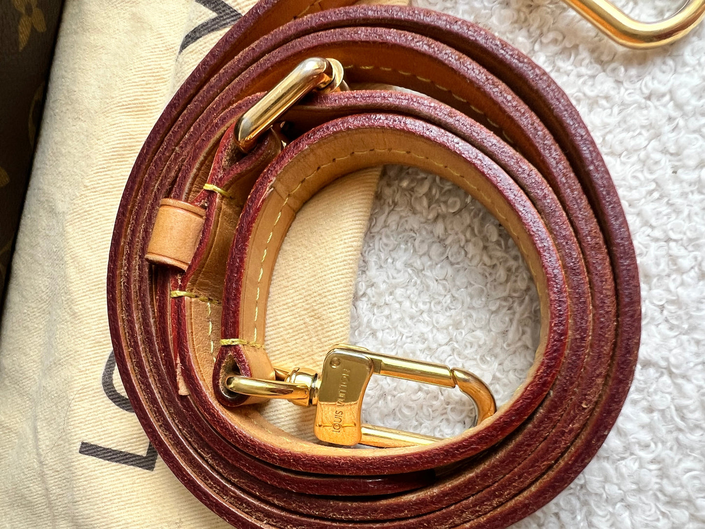 Louis Vuitton Turenne PM Bag Monogram