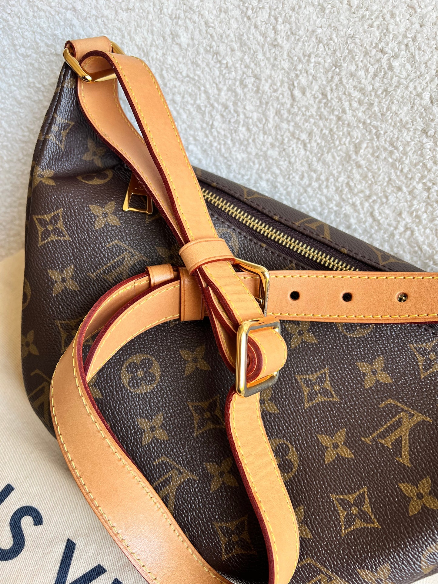 Louis Vuitton Bumbag in Monogram Canvas