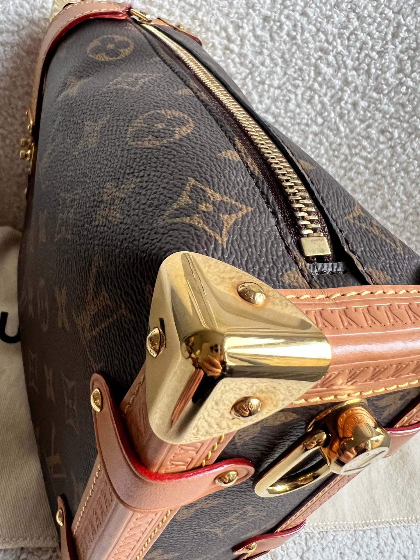 Louis Vuitton Side Trunk MM