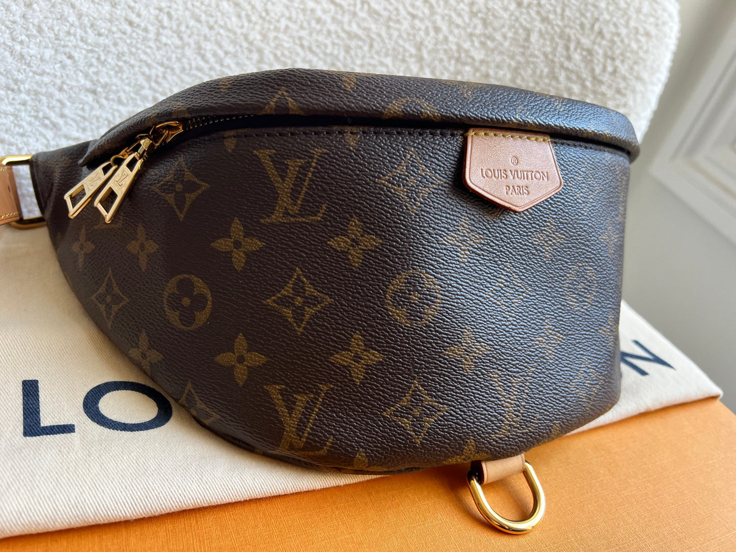 Louis Vuitton Bumbag in Monogram Canvas