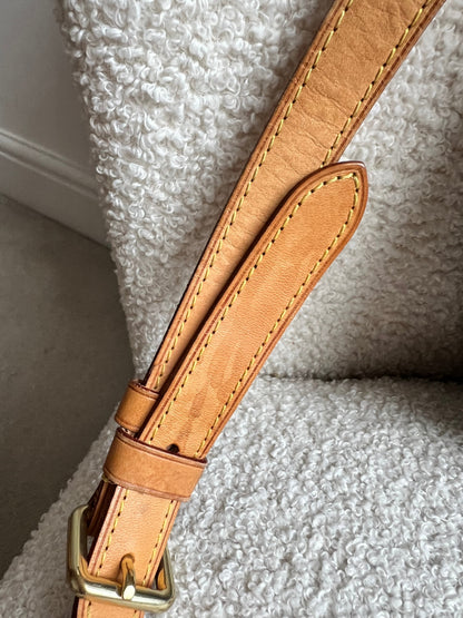 Louis Vuitton Odeon Monogram