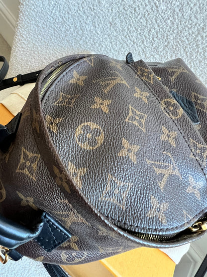 Louis Vuitton Palm Springs Mini Backpack (RRP £1,860)