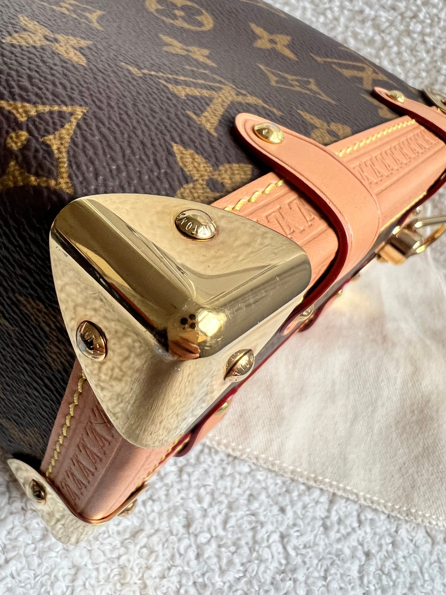 Louis Vuitton Side Trunk MM