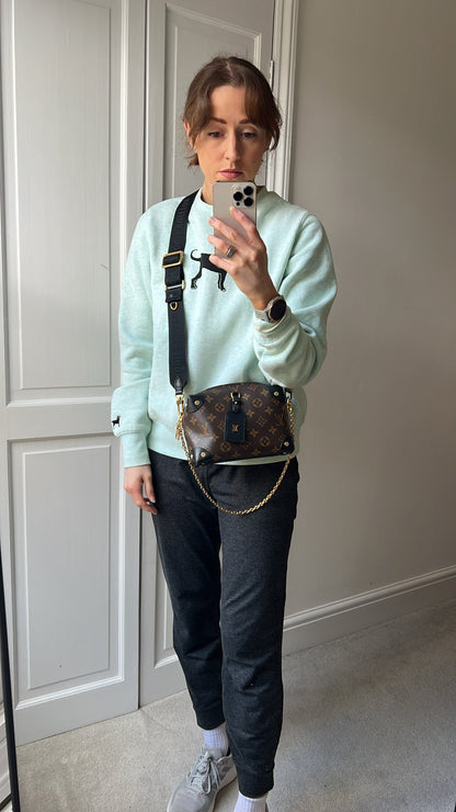Louis Vuitton Petite Malle Souple Bag (RRP £2320)