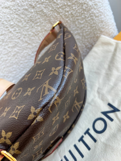 Louis Vuitton Bumbag in Monogram Canvas