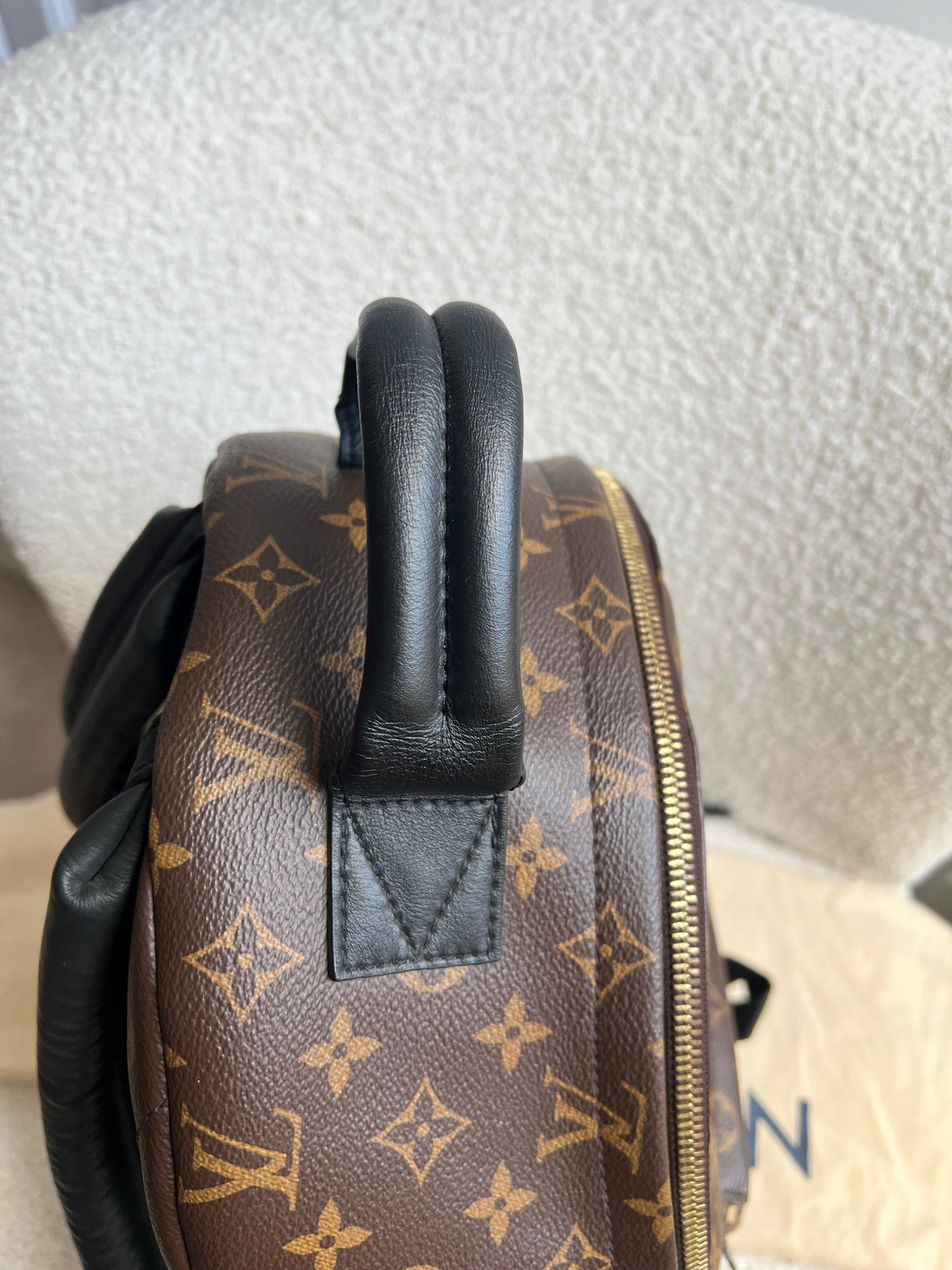 Louis Vuitton Palm Springs MM Backpack (RRP £2,090)
