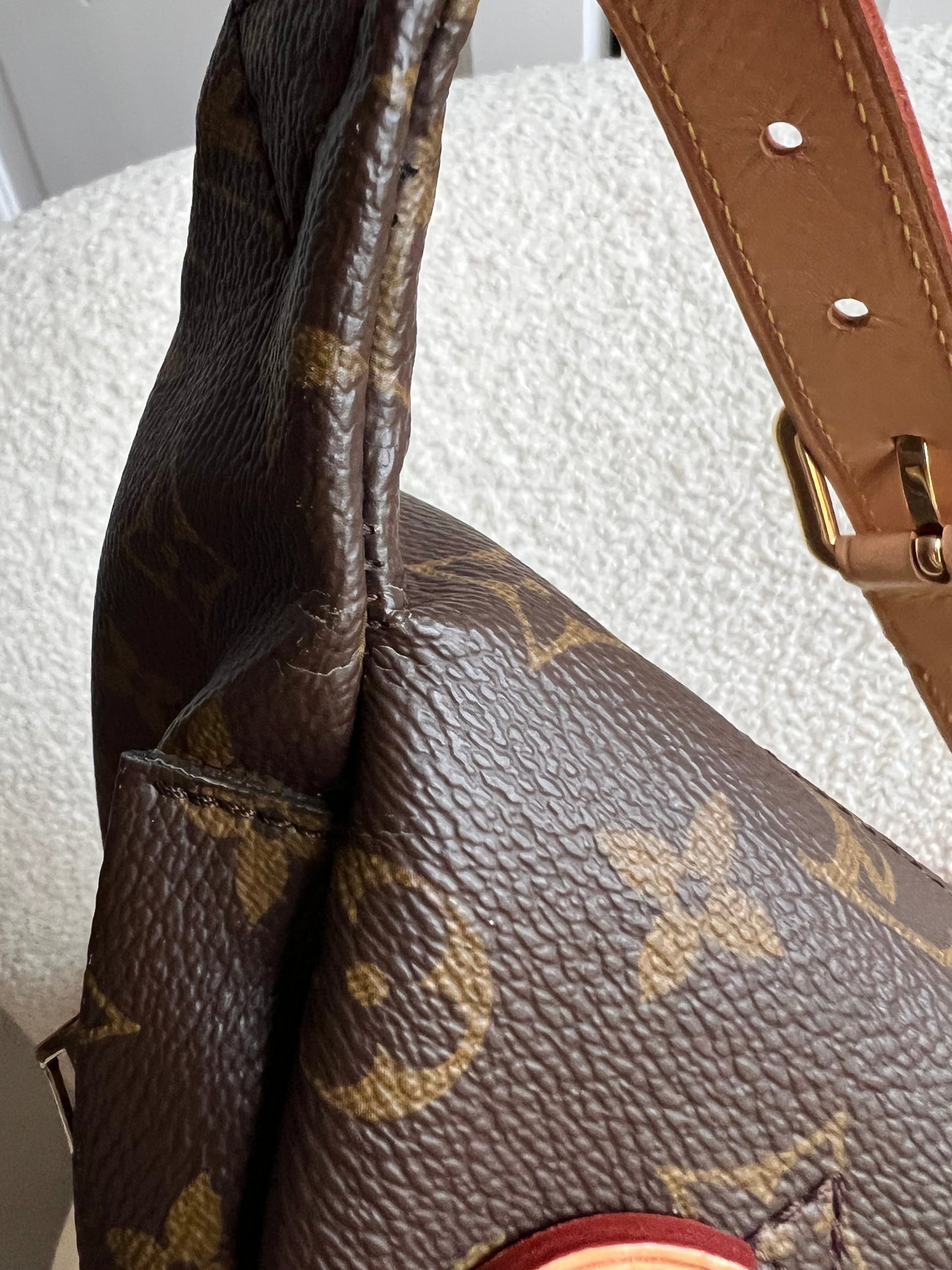 Louis Vuitton Bumbag in Monogram Canvas