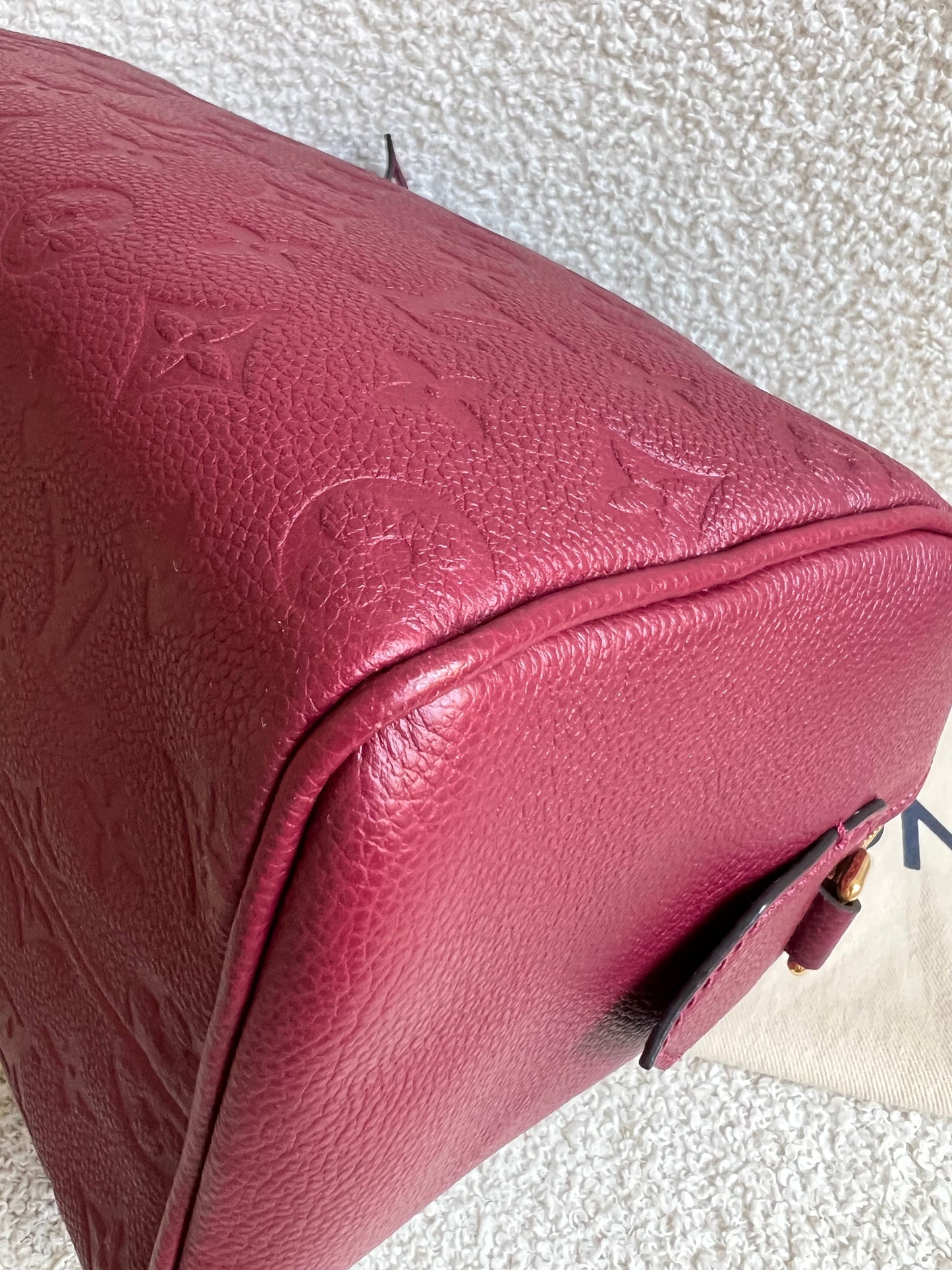 Louis Vuitton Speedy 25 Raisin Empreinte (RRP £1,840)