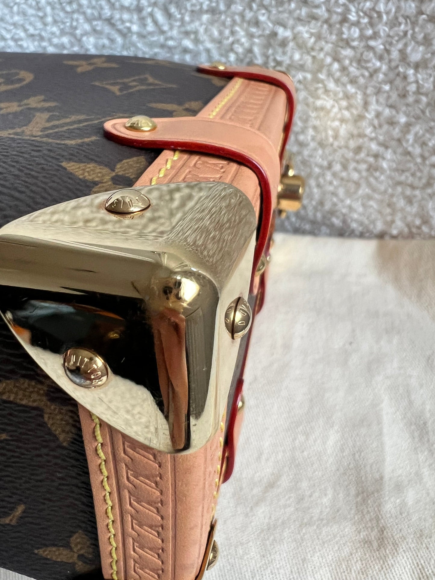 Louis Vuitton Side Trunk MM