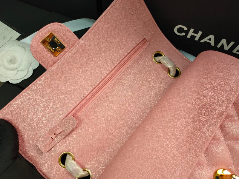 Chanel Luxury Handbag Style 263
