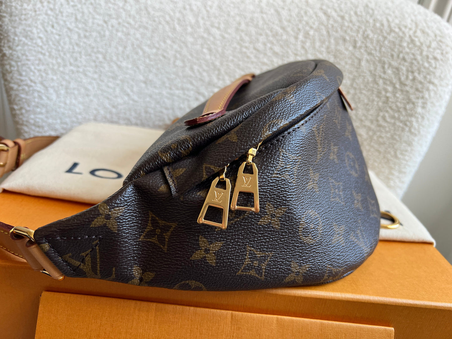 Louis Vuitton Bumbag in Monogram Canvas