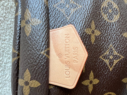 Louis Vuitton Bumbag in Monogram Canvas