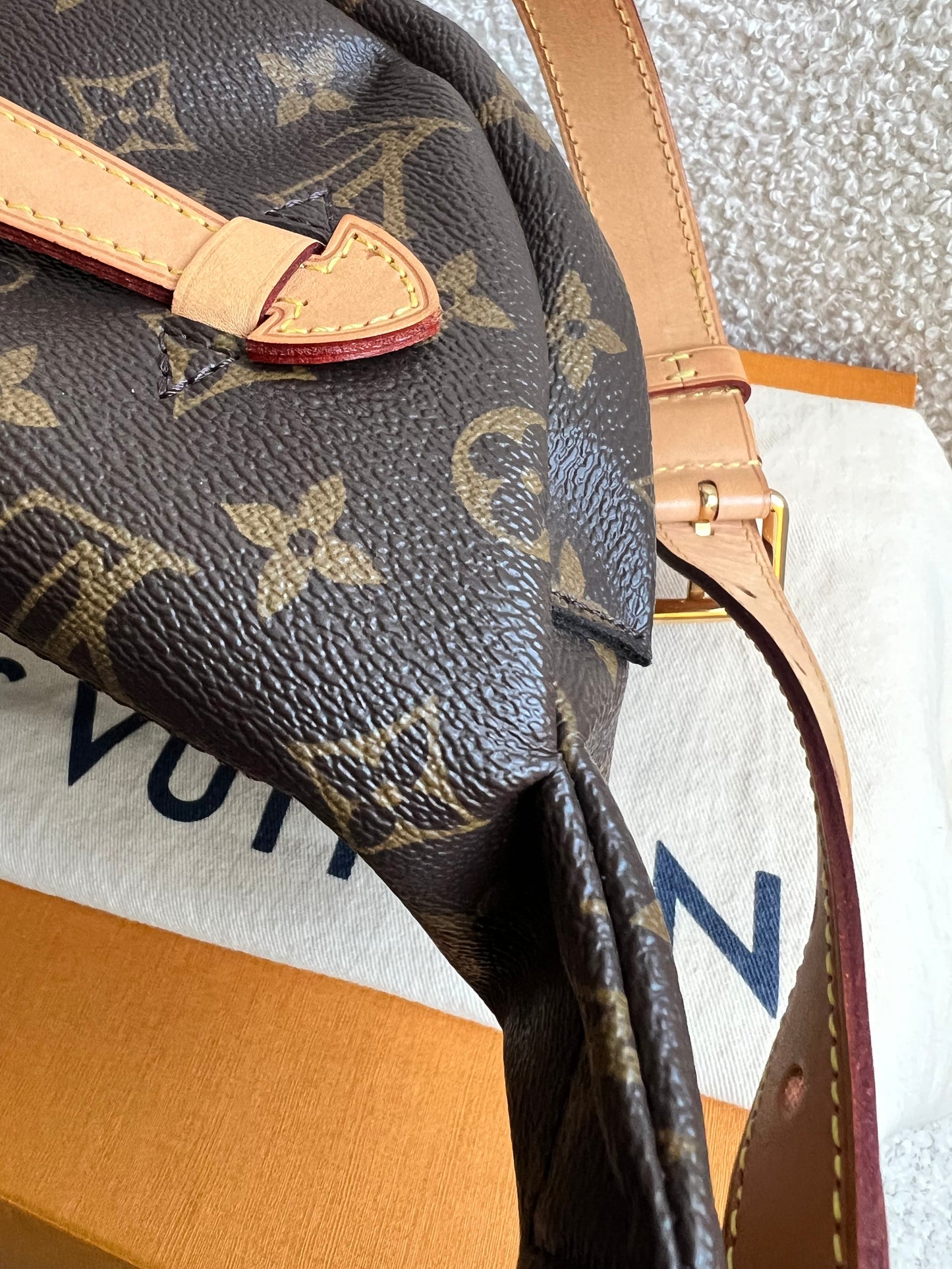 Louis Vuitton Bumbag in Monogram Canvas