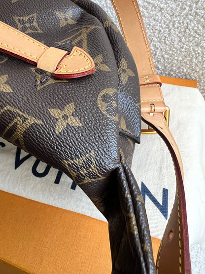 Louis Vuitton Bumbag in Monogram Canvas