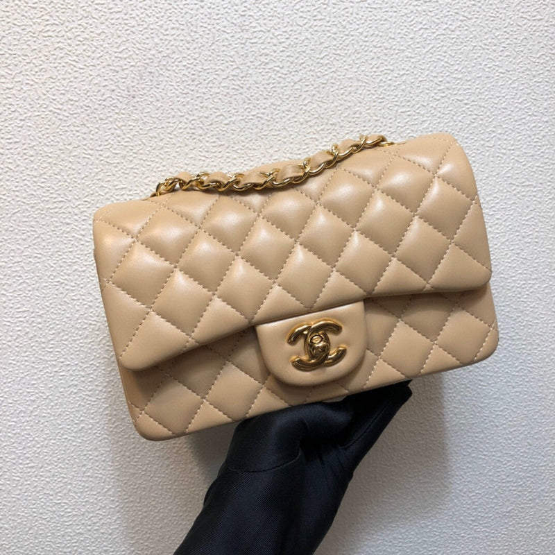 Chanel Luxury Handbag Style 176