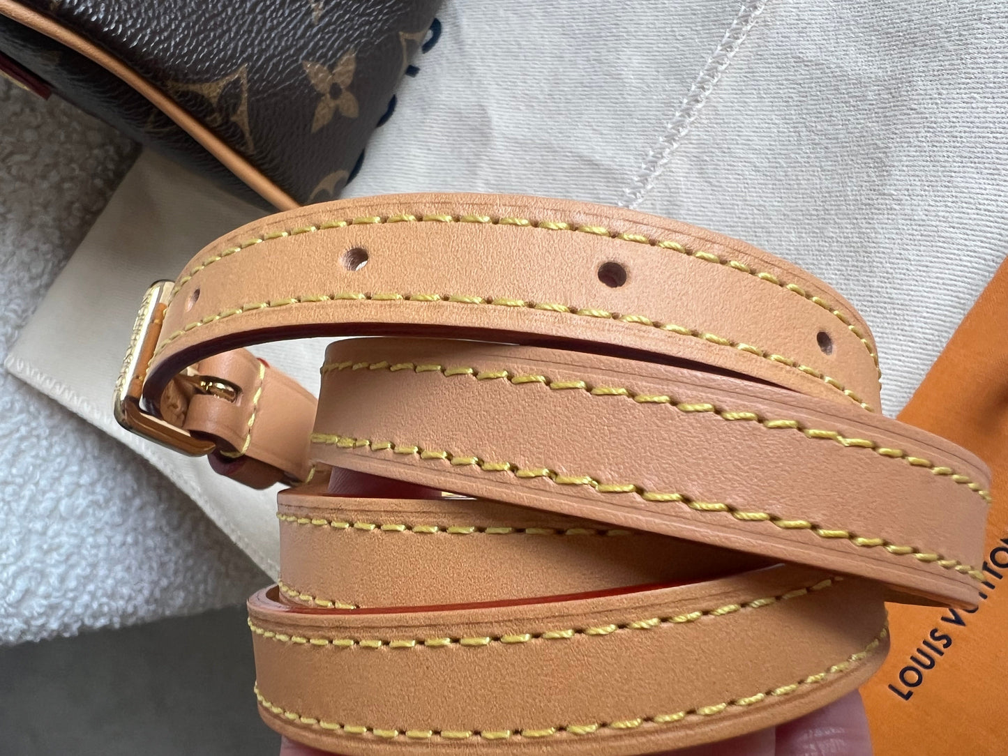 Louis Vuitton Speedy Nano Monogram (RRP £1450)