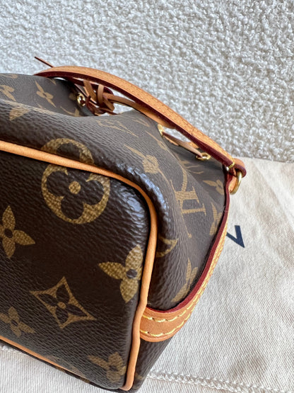 Louis Vuitton Nano Noe Bucket Bag Monogram