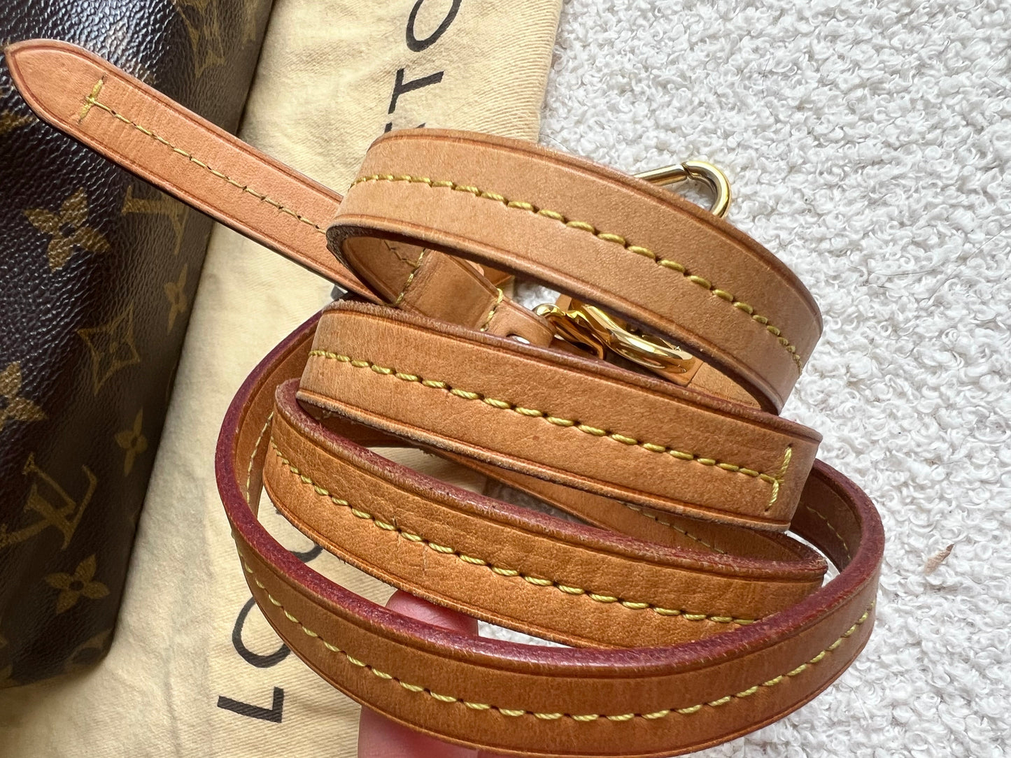 Louis Vuitton Turenne PM Bag Monogram