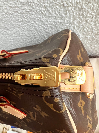 Louis Vuitton Speedy 25 Bandouliere Monogram (RRP £1,440)