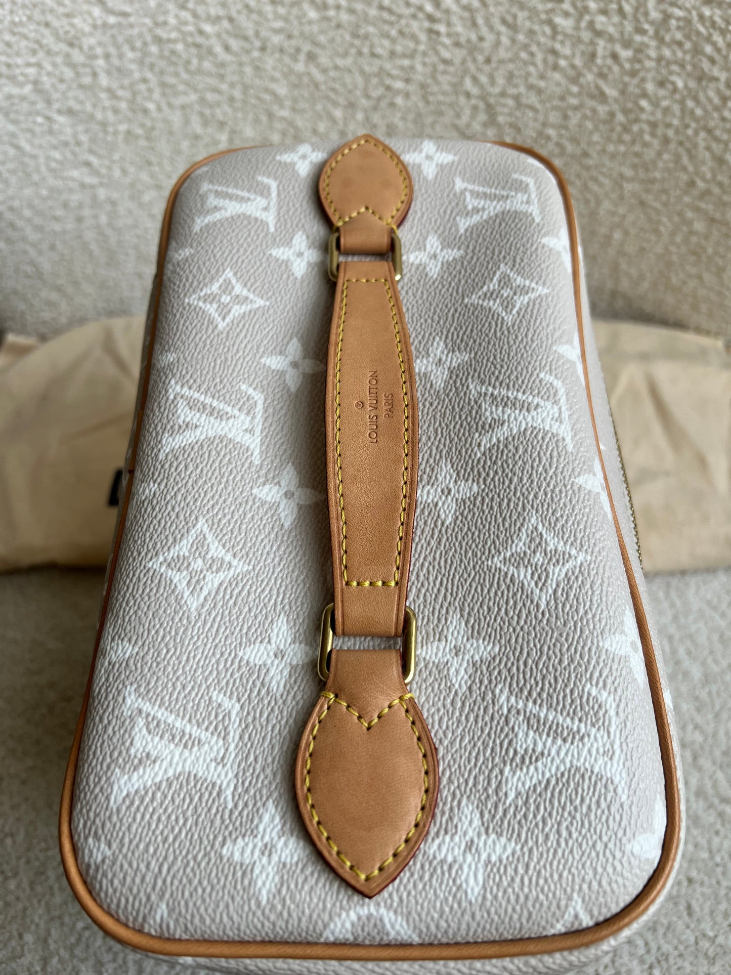 Louis Vuitton By the Pool Nice BB Bag Vanity Case