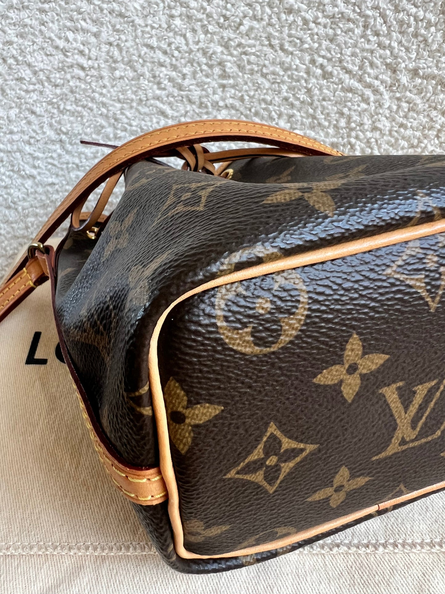 Louis Vuitton Nano Noe Bucket Bag Monogram