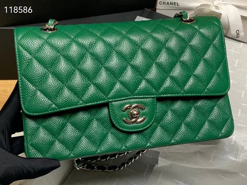 Chanel Luxury Handbag Style 304