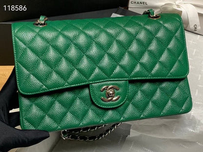 Chanel Luxury Handbag Style 304