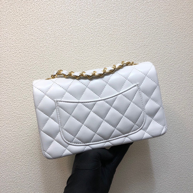 Chanel Luxury Handbag Style 172