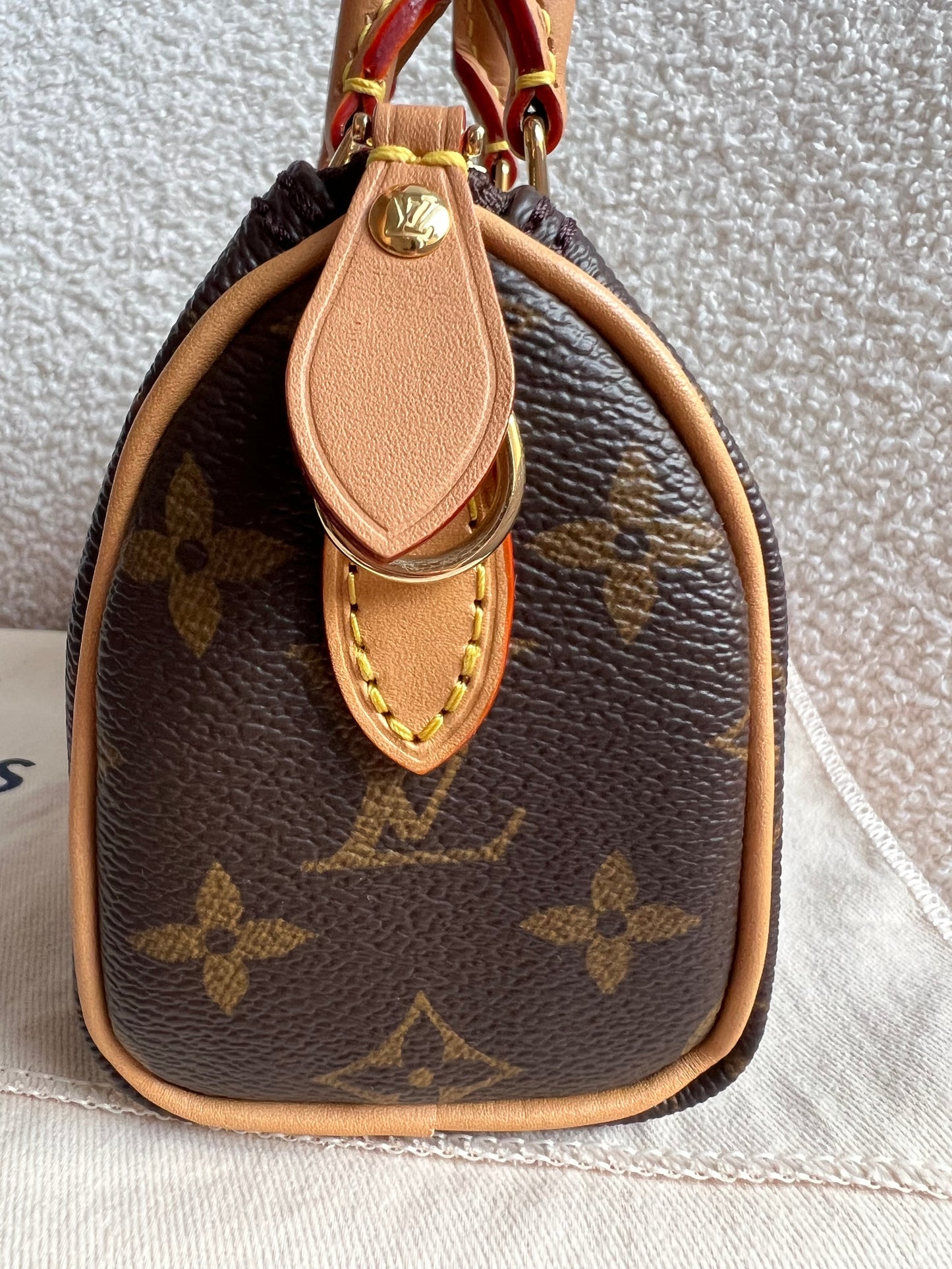 Louis Vuitton Speedy Nano Monogram (RRP £1420)